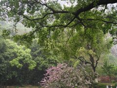 -南溪山景区