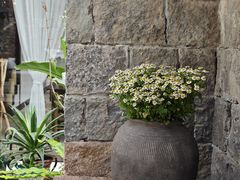 -MOJ coffee(瓯海泽雅水碓坑店)