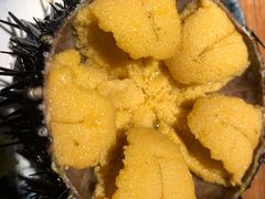 海胆-桂马·日本料理·海胆·海鲜饭·酒场(民主广场店)