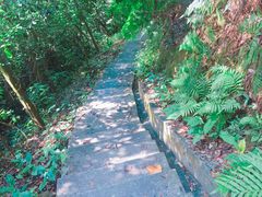 -广州市帽峰山景区