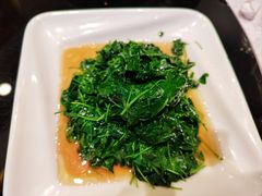 -新南华大酒店(长寿店)