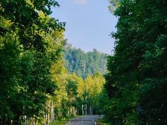 -五营国家森林公园