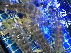 -大东海海鲜酒楼(渔人码头总店)