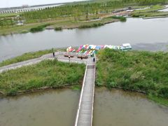 -春花秋色城市公园