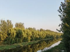 景点-东郊湿地公园