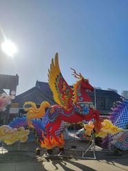 -Cindy Jewelry·钻戒·彩色宝石