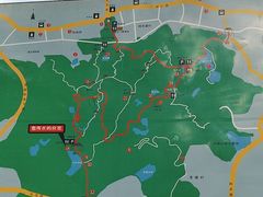 -火炉山森林公园