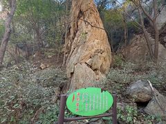 -大岭沟猕猴桃谷风景区