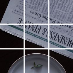 -凡碧诗毛孔收细