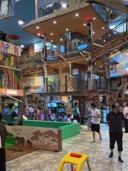 -卡通尼·Safari非洲探索乐园·生日会(金桥国际商业广场店)