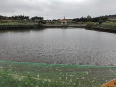 -光明小镇欢乐田园