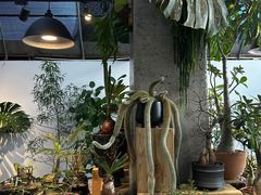 -自由生长植物工作室(深港花卉中心店)