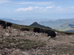 -灵山