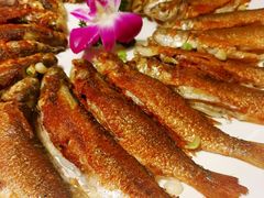 -金苑海鲜酒家(来魅力店)