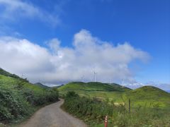 -齐岳山