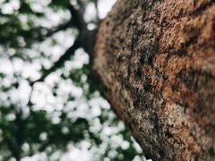 -水濂山森林公园