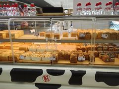 -红星前进面包牛奶公司(君太店)