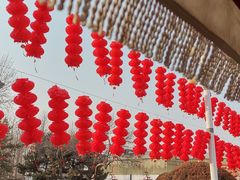 -石家庄市植物园
