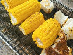 -吴淞炮台湾湿地森林公园烧烤区