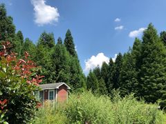 -山王坪喀斯特国家生态公园