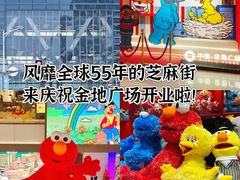 -中集金地美兰城