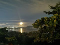 -深圳湾公园(南山区)