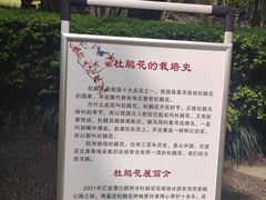 -汇龙潭