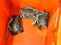 -老财炒饭·熟地蟹·冬瓜蟹