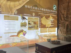 -中国西峡恐龙遗迹园
