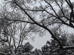 -北陵公园