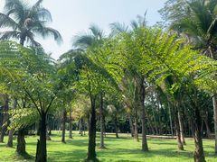 -中国科学院西双版纳热带植物园