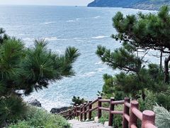 -灵山岛风景区