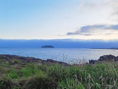 -西归浦每天偶来市场
