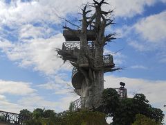 -芒洲湿地公园