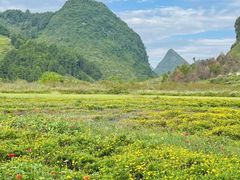 -靖西鹅泉风景区
