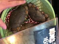 -莲花公园煎蟹(总店)