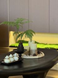 -栖SPA·ONDA ·海菲秀·皑皑科技美肤中心