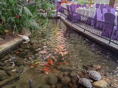 -九尊食上(生态园林酒店)