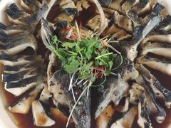 -京北渔家傲