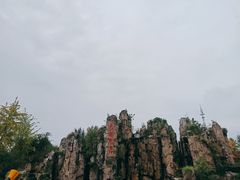 -秀丽东方