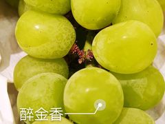 -马陆小张葡萄园农家乐