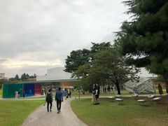 -金泽21世纪美术馆