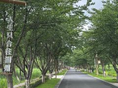 -长田漾湿地公园