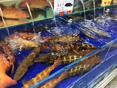 -东江海鲜酒家(艺都分店)