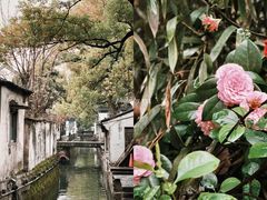 -绍兴鲁迅故里·沈园景区