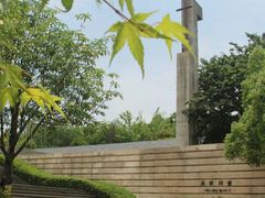 -美丽洲堂