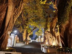 -龙环葡韵住宅式博物馆