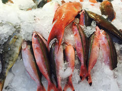 鲜海鱼-阿达海产