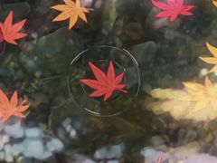 -一块豆腐·海鲜·家常菜(李沧书院路店)