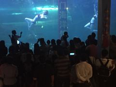 -洛阳龙门海洋馆